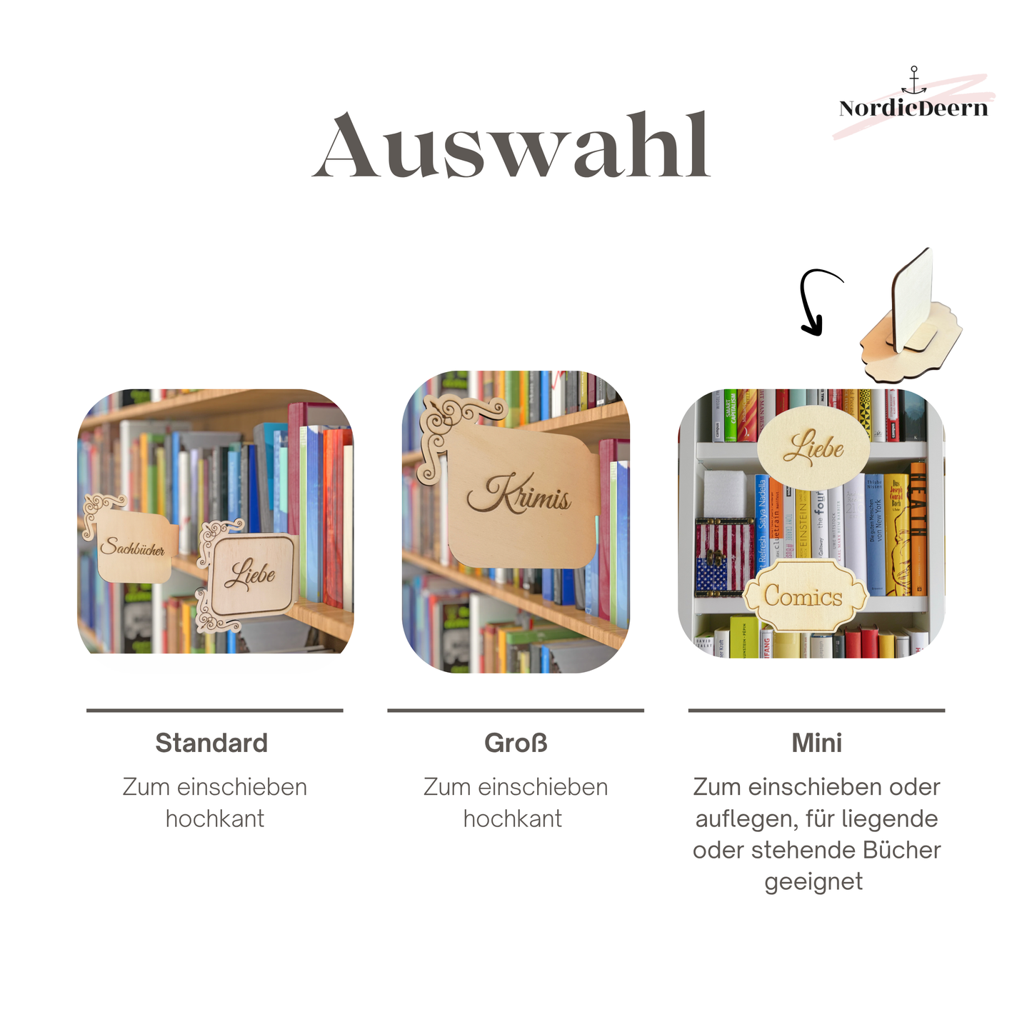 Bücherregal Genre Regal Schild, deutsch , Bibliothek Stil Vintage, aus Holz